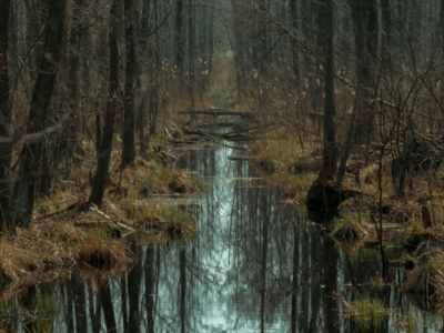 Explore the Untouched Nature of Biebrza National Park in Northeast Poland